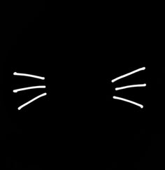 a cat's face is lit up in the dark