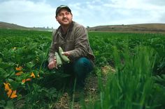 a man kneeling in the middle of a green field holding a bunch of plantains