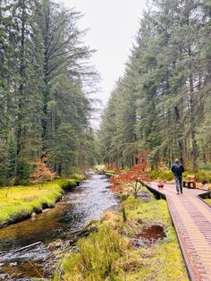 a man walking across a bridge next to a forest filled with trees and grass covered ground