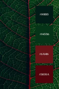 Emerald Colour Combinations, Complementary Colors To Green, Color Scheme Green, Rich Green, Green Palette Colour Schemes, Dark Green And Red, Green Combination Color, Red And Green Color Palette Colour Schemes, Color Palette With Green