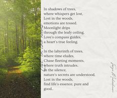 an image of a path in the woods with words written on it that read, in shadows of trees, where whispers get lost