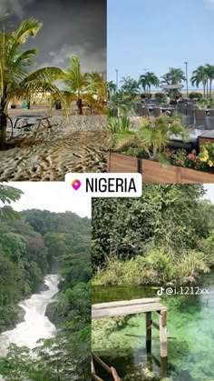 four different pictures with trees, water and buildings in the same area as well as text that reads nigeria