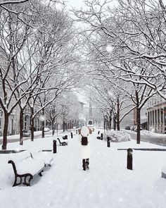 a woman standing in the middle of a snow covered park with benches and trees on both sides