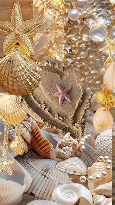 there are many seashells and starfish on the beach with pearls around them