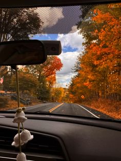 the view from inside a car looking at an autumn tree lined road and trees with orange leaves