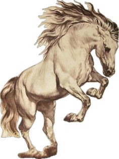 a drawing of a white horse running