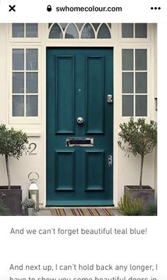 the front door is painted teal and has two potted plants on either side