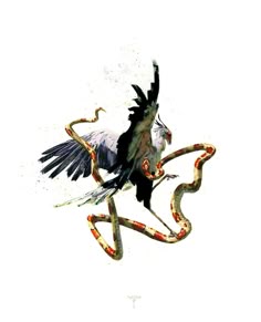 a bird is flying with its wings spread out and it's body wrapped around a snake