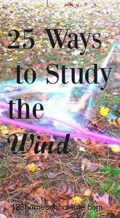 a kite with the words 25 ways to study the wind on it in front of leaves