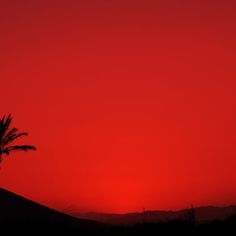 the sun is setting behind a palm tree in front of an orange and red sky