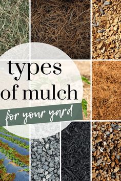 different types of mulch for your yard with text overlay that reads, types of mulch for your yard