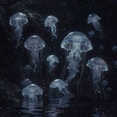 several jellyfish floating in the water at night