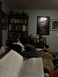 two dogs are laying on the bed with an open book in front of them and bookshelves behind them