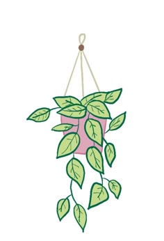 Diy Hanging Plant Projects, Illustration Of Hanging Plant, Indoor Plant Decor Ideas, Minimalist Plant Illustration, Pastel Hanging Plant Decor, Houseplant Doodle, Plant Pot Drawing Ideas, Plant Art Simple, Drawing Plants Easy