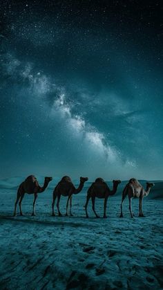 three camels are standing in the desert under a night sky