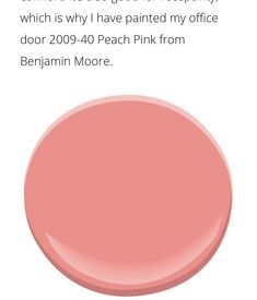a pink paint with the words, which is why i have painted my office door