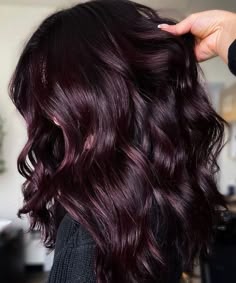 Fall Hair Color For Brunettes Dark, Very Dark Burgundy Hair, Dark Hair Burgundy, Brunette Purple Highlights, Dark Purple Burgundy Hair, Deep Burgundy Hair Color On Black Hair, Late Summer Hair Color Brunette, Burgundy Balayage Short Hair, Fall Purple Hair