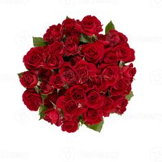 a bouquet of red roses on a white background