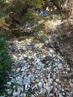 a pile of trash sitting on top of a forest floor next to a river filled with lots of garbage