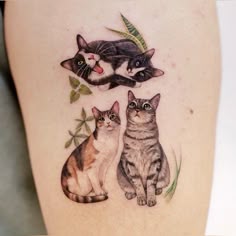 three cats sitting on the side of a woman's thigh