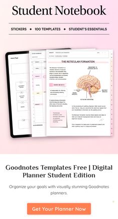 Goodnotes Template Free Student, School Tracker, Notability Template, Goodnotes Paper, Reticular Formation, Notes College, Ipad Planning, Student Notes, Aesthetic Ipad