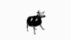 a black and white photo of a cow standing in the air with it's head turned to the side