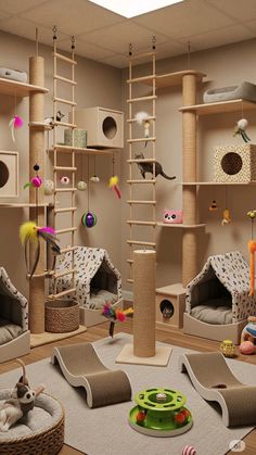 a room filled with lots of cat furniture and toys on top of carpeted flooring