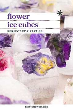 ice cubes with flowers on them and the words flower ice cubes perfect for parties