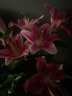 some pink flowers are in a vase with green leaves on the side and dark background