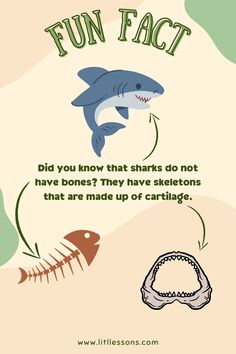 a poster with an image of shark and fish on it's side, which reads fun fact did you know that sharks do not have bones? they have skeletons