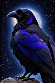 a large black bird sitting on top of a rock under a full moon filled sky