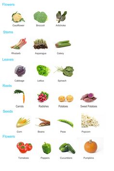 an image of fruits and vegetables labeled in english