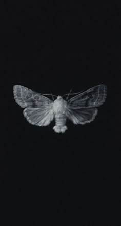 a black and white photo of a moth in the night sky with its wings spread out