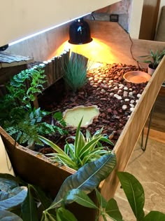 a wooden box filled with plants and rocks