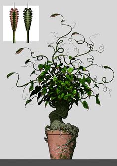 a potted plant with green leaves in it next to an image of another plant