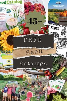 the words free seed catalogs are displayed