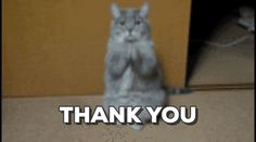 a cat that is standing up with the words thank you