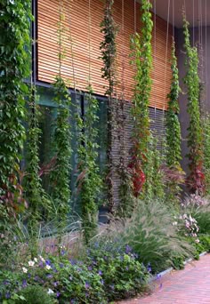 an assortment of plants and flowers in front of a building