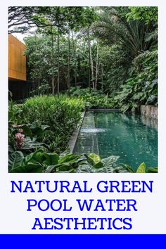 the cover of natural green pool water aesthetics, with text overlaying it