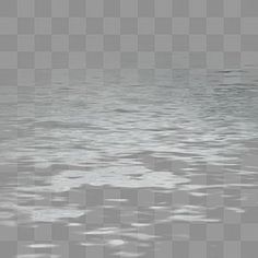 a bird flying over the water on a foggy day