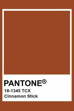 pantone's 18 - 138 tcx cinnamon stick