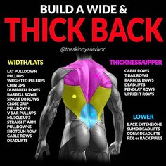 the back muscles are highlighted in pink and yellow, with instructions to build a wide & thick back