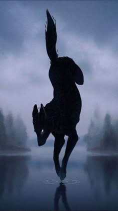 a dog that is jumping in the air