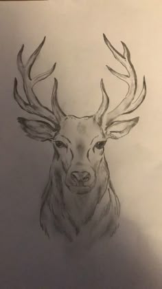 a pencil drawing of a deer's head with antlers on the back side