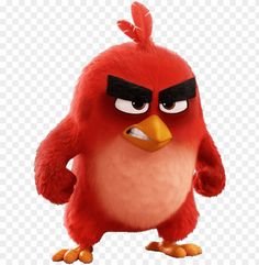the angry bird from the angry birds movie, hd png image with transparent background