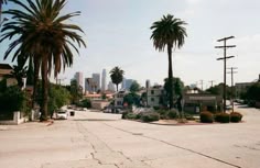 palm trees line an empty street in front of the city