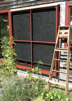a ladder leaning against the side of a building next to some plants and flowers in front of it