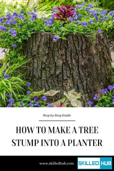 a tree stump with purple flowers growing around it and the words how to make a tree stump into a planter