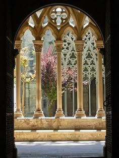 an arched doorway with columns and flowers in the background