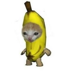 an animal that is wearing a banana costume
